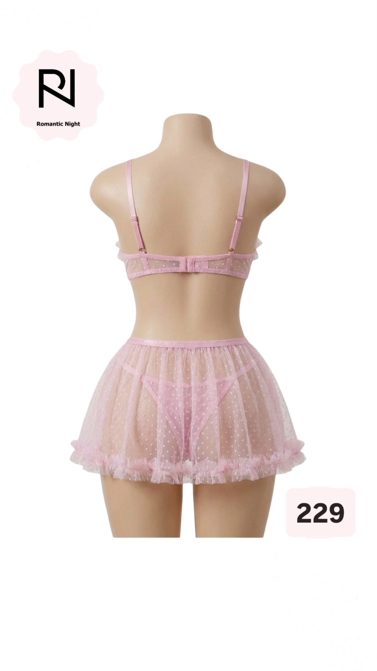 229 - الصورة 2